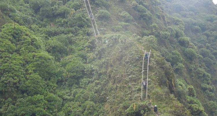 Randonnée de 5 jours dans la forêt de Kibale pour observer les gorilles, la faune et les chimpanzés - Bamboo Ecotours 4