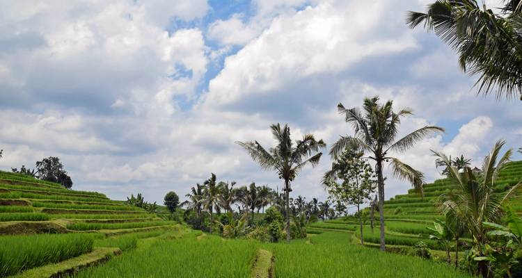 Voyage tranquille à Bali - Culture Holidays Private Limited 1