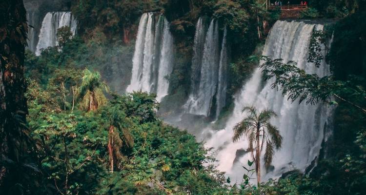 City & Jungle: Buenos Aires and Iguazú Falls - People Travel and Experience 8