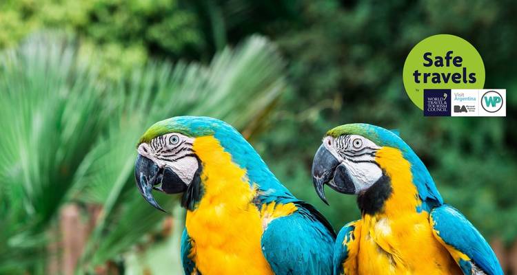 City & Jungle: Buenos Aires and Iguazú Falls - People Travel and Experience 2