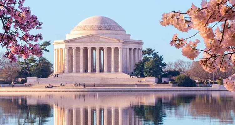 Le Mémorial Jefferson reflété dans un bassin de marée calme encadré par des cerisiers en fleurs.