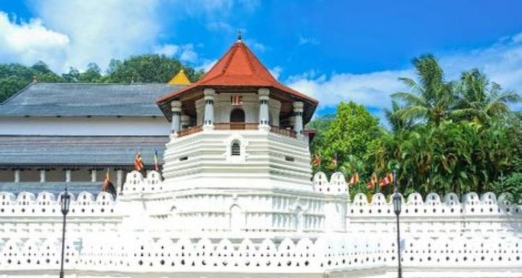Amazing Sri Lanka - Himaliyan Tours and Travels 8