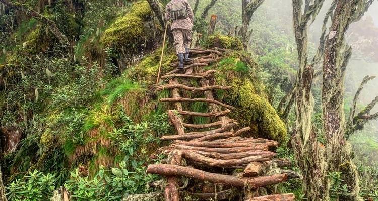 Eperience Rwanda Gorilla Trekking, Mt. Bisoke Hiking (Exclusively Private) - Devine African Safaris Ltd 3