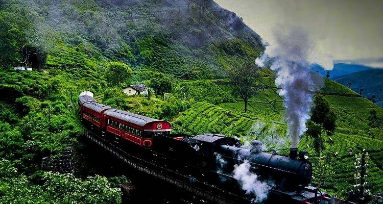 Sri Lanka - Nature Trail Tour - Himaliyan Tours and Travels 10