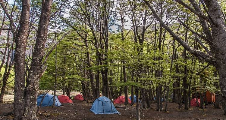 Full Circuit Patagonia - OneSeed Expeditions 10