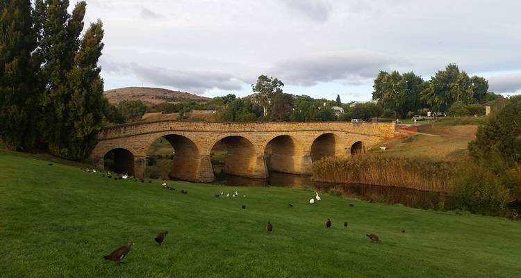 Los 3 GRAndes Tasmania - de Hobart a Launceston - Tours Tasmania 10