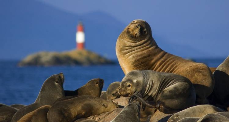 Sud de la Patagonie : El Calafate et Ushuaia - People Travel and Experience 2