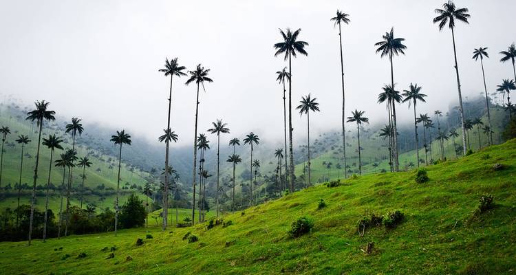 La vraie Colombie - Intrepid Travel 2