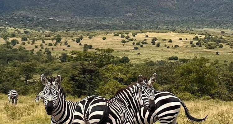 Safari au Kenya - 5 jours/4 nuits - Across Africa Tours & Travel 7