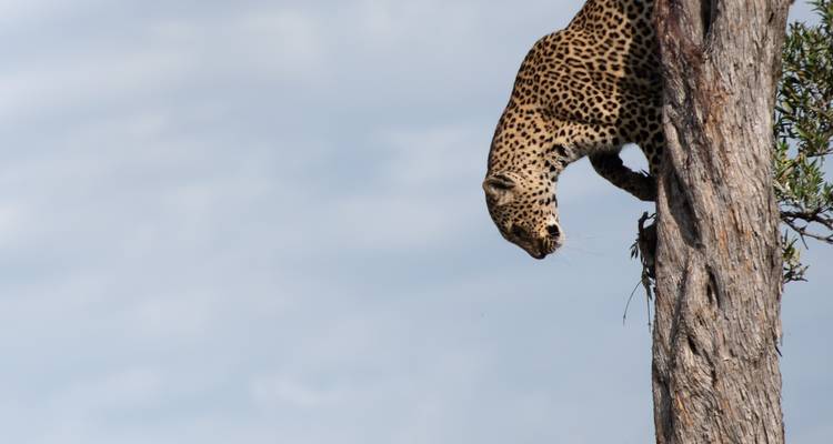 Golden traingle with ranthambore - Anaisha journey 3