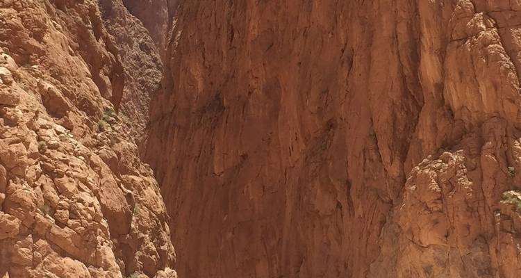 Circuitos por el desierto del Sahara de Marrakech: de Marrakech a Fez - TouaregTrails 3