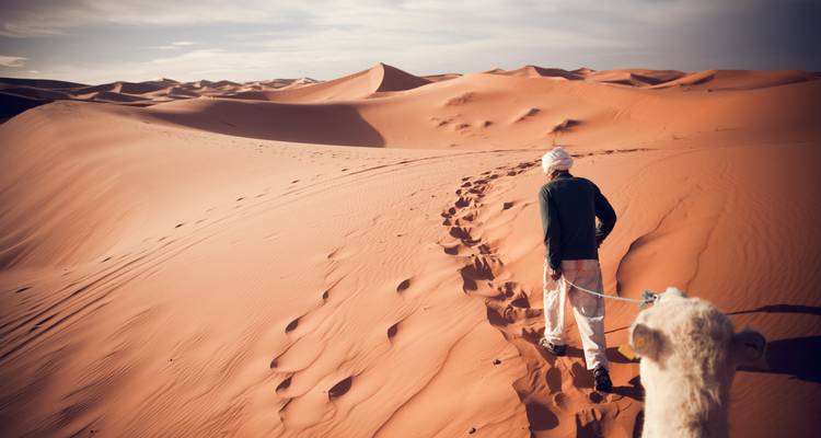 Circuitos por el desierto del Sahara de Marrakech: de Marrakech a Fez - TouaregTrails 5
