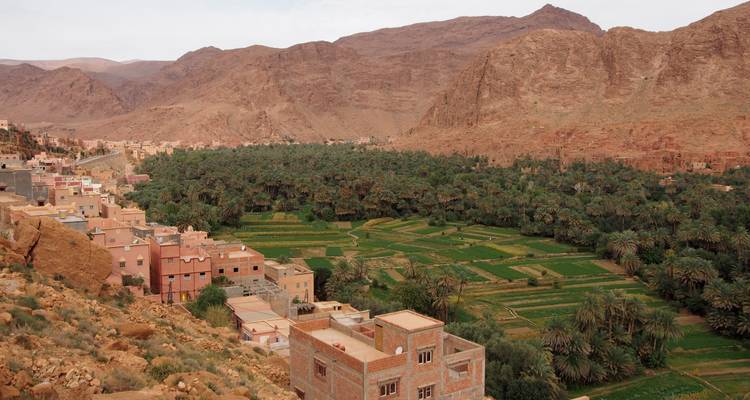 Circuitos por el desierto del Sahara de Marrakech: de Marrakech a Fez - TouaregTrails 10