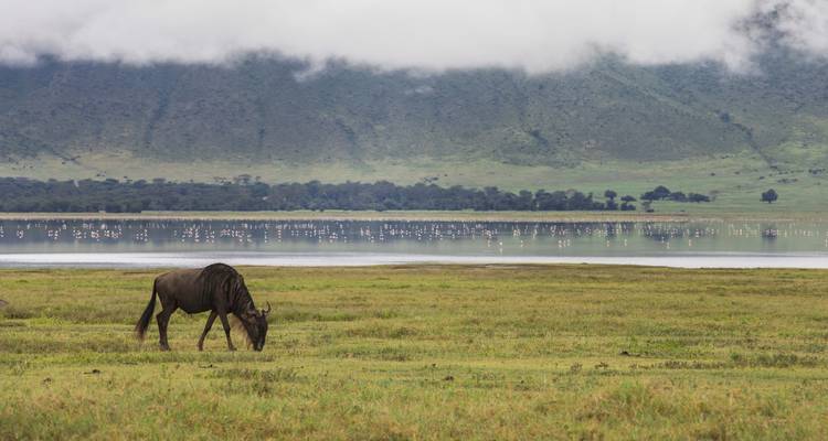 Safari camping de 5 jours en groupe - Deux nuits à Serengeti -  Travel Africa Safari Agency 4