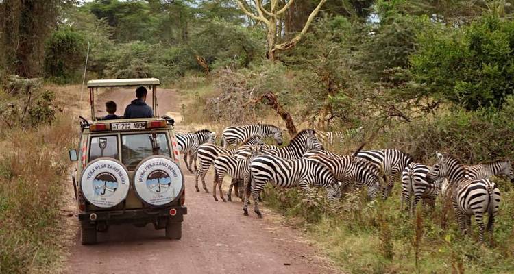 Excursion d'une journée au cratère du Ngorongoro depuis la ville d'Arusha -  Travel Africa Safari Agency 9