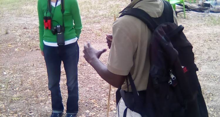9 jours en Zambie : Aventure Safari Agréable avec MWEZI Travel - Lochinvar Safaris 3