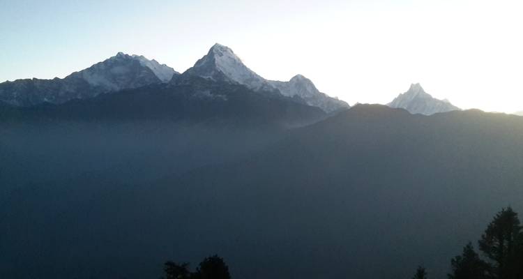 Bergtoppen die opkomen uit de mist in het vroege daglicht.