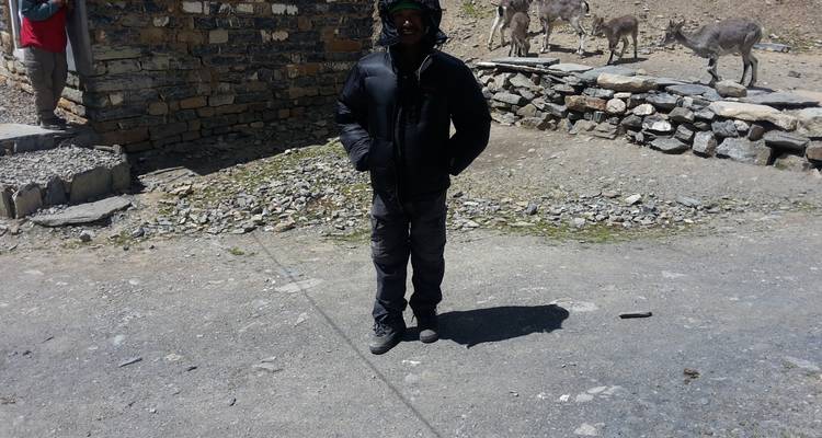 Persoon in winterkleding bij geiten op een rotsachtig pad.