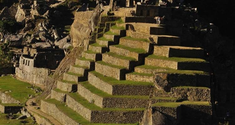 Close-up of Incan terraces on a hillside.