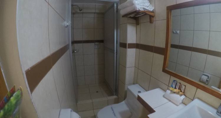 Simple bathroom with a shower, sink, and toilet.