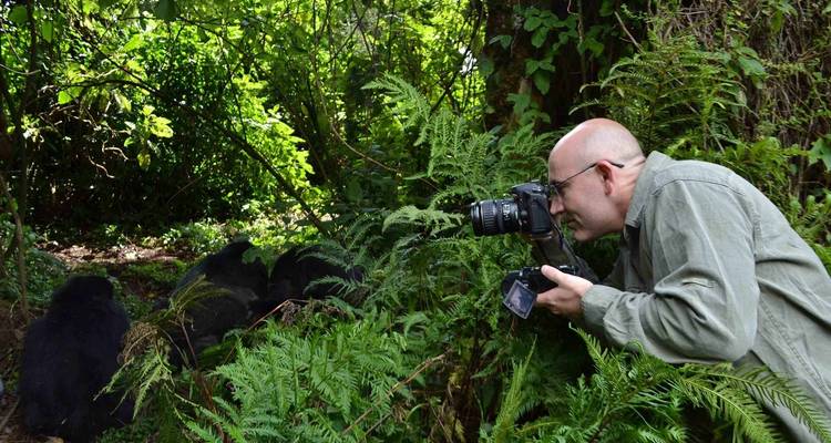 Safari de 11 días lo mejor de los gorilas y el rastreo de chimpancés - Ovacado Adventures 4
