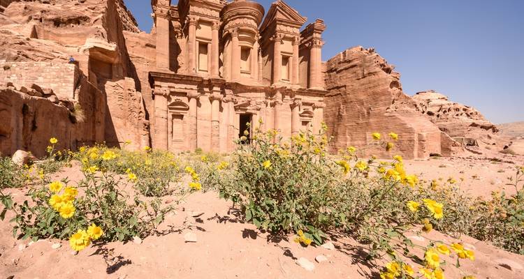 Yellow flowers and Petra Monastery