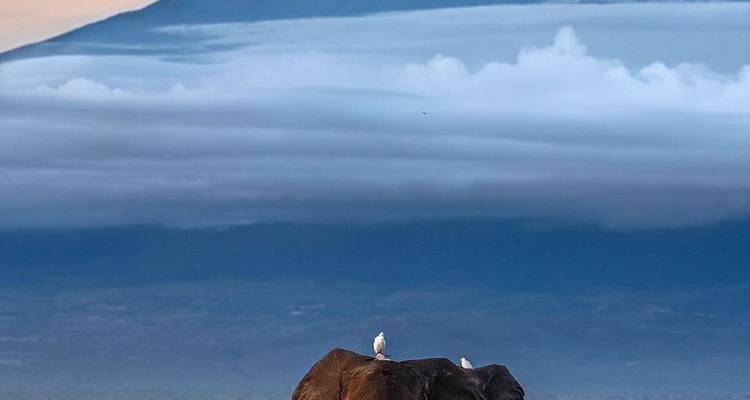 Parque Nacional de Amboseli - BESH AFRICAN ADVENTURES 6