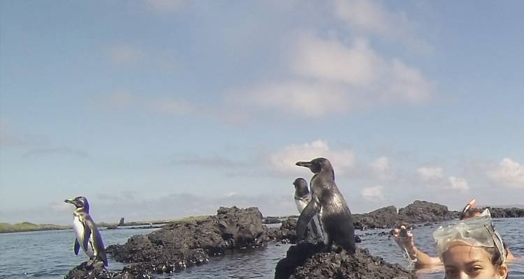 Expérience aux Galápagos : Volontariat et voyage 10 jours - Lead Adventures  1