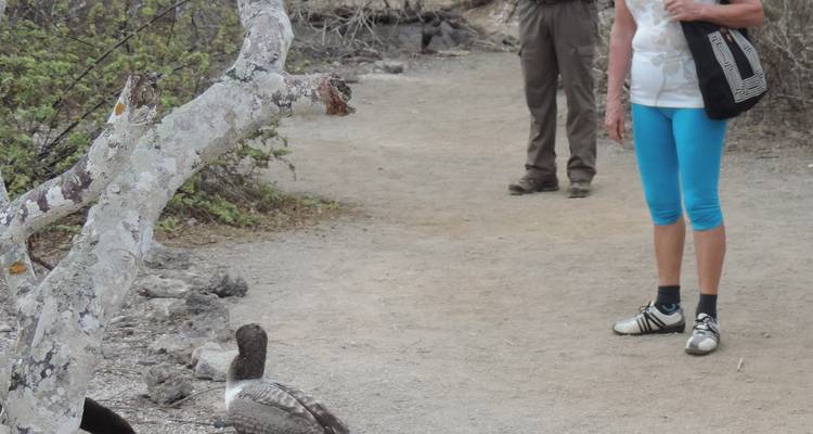 Expérience aux Galápagos : Volontariat et voyage 10 jours - Lead Adventures  10