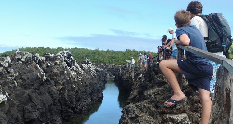 Expérience aux Galápagos : Volontariat et voyage 10 jours - Lead Adventures  3