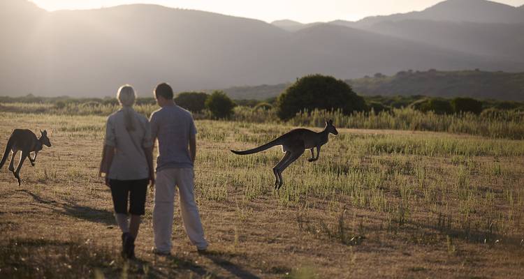 3 jours sur la Great Ocean Road et les Grampians - Australian Natural Treasures Touring 8