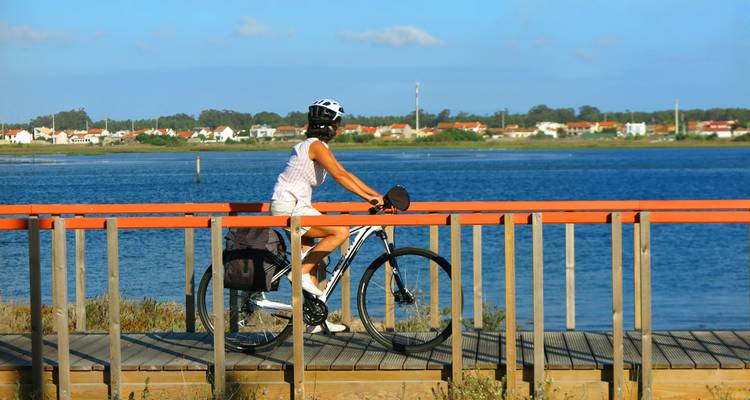 Ruta autoguiada en bicicleta de Oporto a Coimbra - Authentic Trails 10