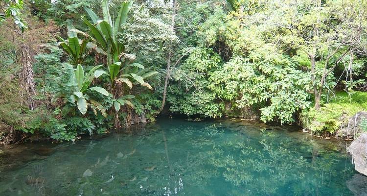 Circuito a Michoacán: pueblos mágicos, el volcán más joven y más - Vibe Adventures 9