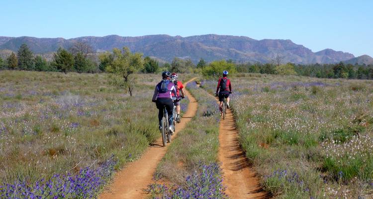 Flinders Ranges en bicicleta - Escapegoat Adventures 9