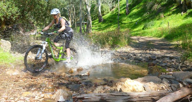 Flinders Ranges en bicicleta - Escapegoat Adventures 10