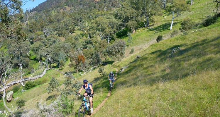 Flinders Ranges en bicicleta - Escapegoat Adventures 2