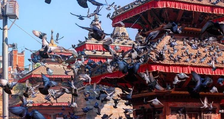Nagarkot Dhulikhel Namobuddha Trek - 7 jours - Trekking Guide Team Adventure 3