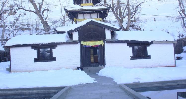 Paquete turístico barato a Muktinath por tierra y en avión desde Nepal - Mega Mount Treks and Expedition Pvt.Ltd.  2