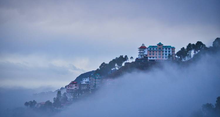 Circuit privé de 6 jours en voiture à Shimla et Manali - Avtar India Tours 8