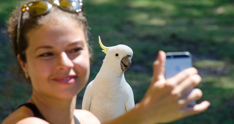 3 Day Adelaide to Melbourne Overland Adventure Tour (Accommodated) - Autopia Tours 6