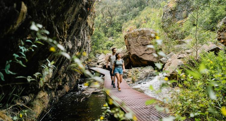 Een stel wandelt over een smalle metalen loopbrug door een weelderige kloof in de Grampians.