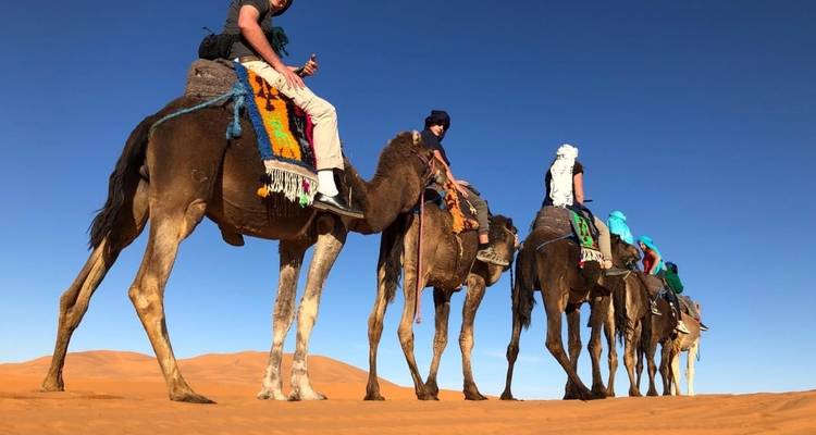 Circuito de 7 días desde Marrakech al Desierto de Merzouga - Fez - Chefchaouen y acaba en la excursión en Casablanca - TouaregTrails 10