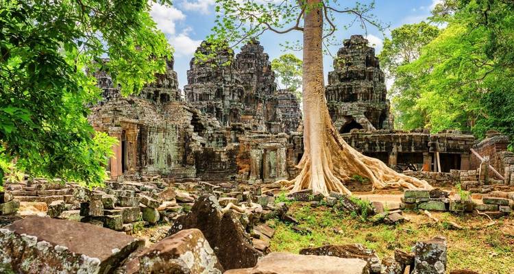 Majestätische Tempelruinen mit einem großen Baum, der durch den Stein wächst.