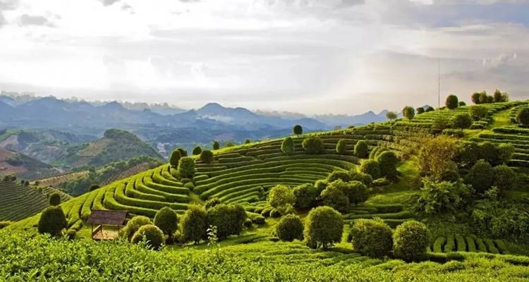 Le charme de l'architecture classique chinoise - Truly China Travel 4