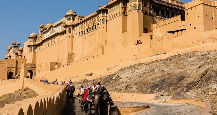 Elefanten, die Touristen die Rampe zu den ockergelben Mauern des Amber Fort in Jaipur hinauftragen