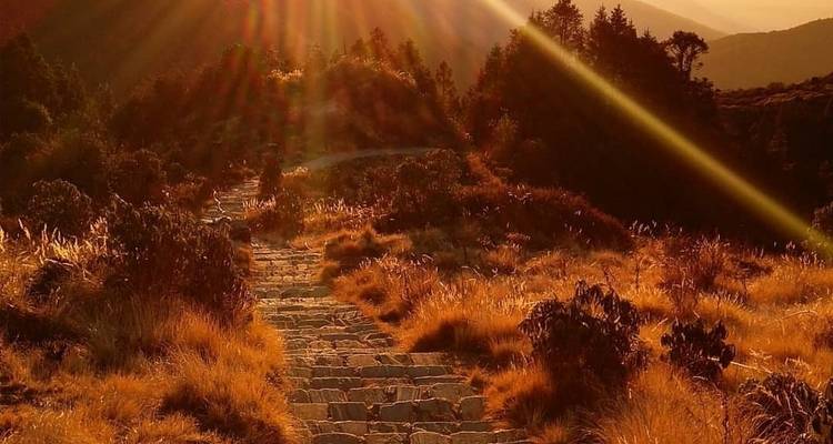 Senderismo de 7 días por Ghorepani y Poon Hill - Sherpa Expedition & Trekking Pvt. Ltd. 1