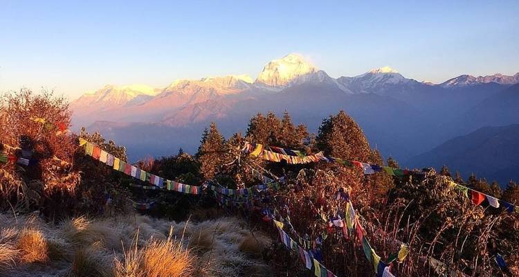 Senderismo de 7 días por Ghorepani y Poon Hill - Sherpa Expedition & Trekking Pvt. Ltd. 3
