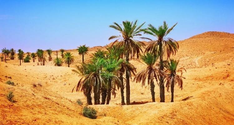 Le grand tour de la Tunisie - Depart Travel Services 3