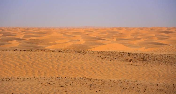 Le grand tour de la Tunisie - Depart Travel Services 4