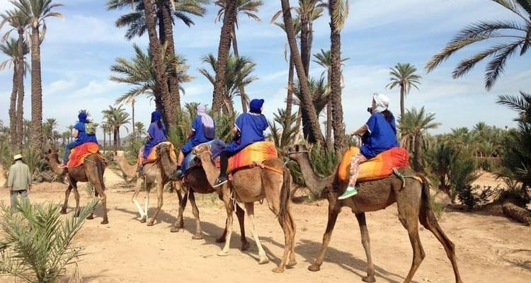 Le grand tour de la Tunisie - Depart Travel Services 6